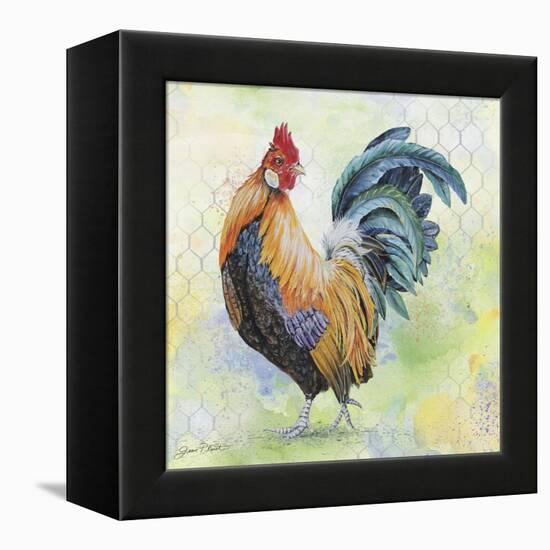 Watercolor Rooster-D-Jean Plout-Framed Premier Image Canvas