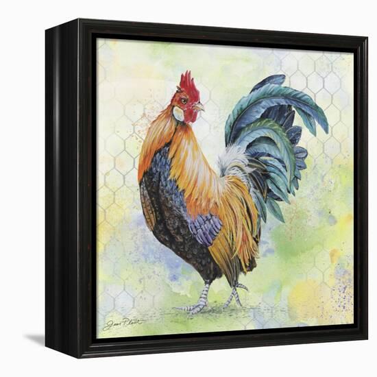 Watercolor Rooster-D-Jean Plout-Framed Premier Image Canvas