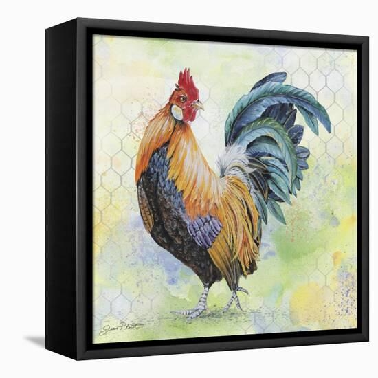 Watercolor Rooster-D-Jean Plout-Framed Premier Image Canvas