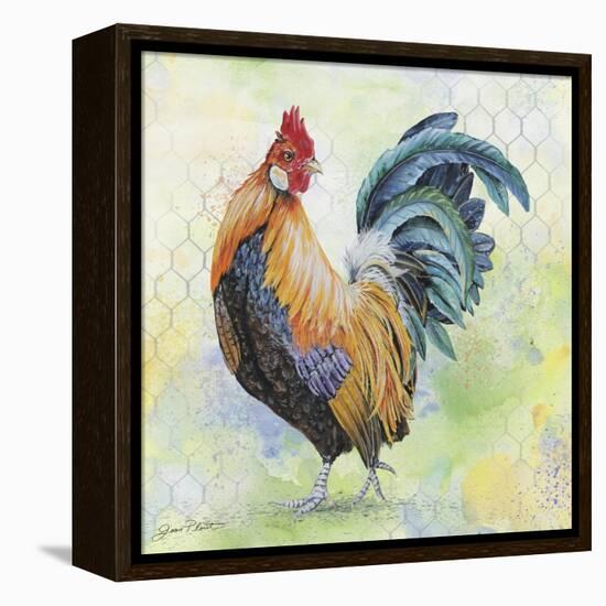 Watercolor Rooster-D-Jean Plout-Framed Premier Image Canvas