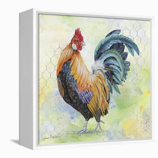 Watercolor Rooster-D-Jean Plout-Framed Premier Image Canvas