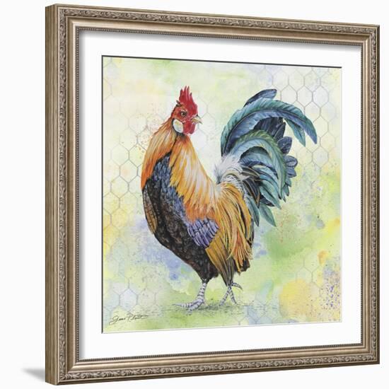 Watercolor Rooster-D-Jean Plout-Framed Giclee Print