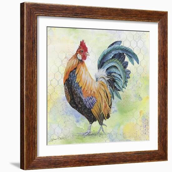 Watercolor Rooster-D-Jean Plout-Framed Giclee Print