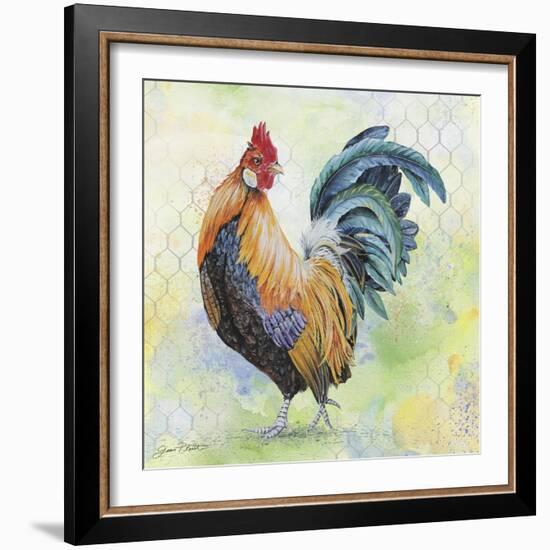 Watercolor Rooster-D-Jean Plout-Framed Giclee Print