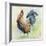 Watercolor Rooster-D-Jean Plout-Framed Giclee Print