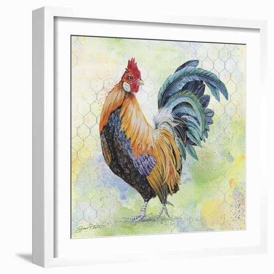 Watercolor Rooster-D-Jean Plout-Framed Giclee Print