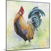 Watercolor Rooster-D-Jean Plout-Mounted Giclee Print