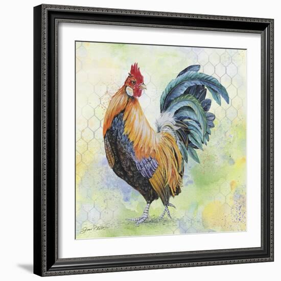 Watercolor Rooster-D-Jean Plout-Framed Giclee Print