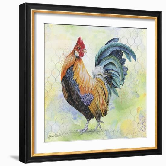 Watercolor Rooster-D-Jean Plout-Framed Giclee Print
