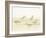 Watercolor Sandpipers I-Avery Tillmon-Framed Art Print