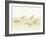 Watercolor Sandpipers I-Avery Tillmon-Framed Art Print