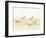 Watercolor Sandpipers I-Avery Tillmon-Framed Art Print