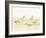 Watercolor Sandpipers I-Avery Tillmon-Framed Art Print