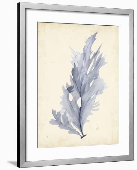 Watercolor Sea Grass VI-Grace Popp-Framed Art Print