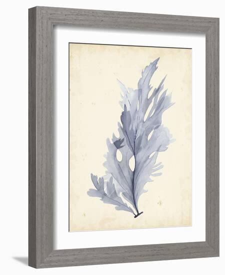 Watercolor Sea Grass VI-Grace Popp-Framed Art Print