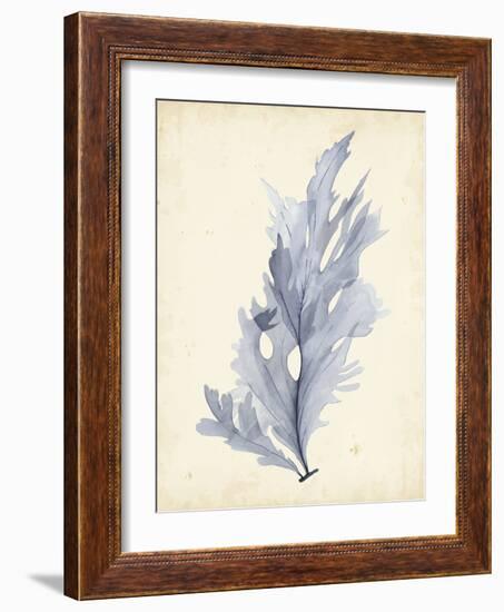 Watercolor Sea Grass VI-Grace Popp-Framed Art Print