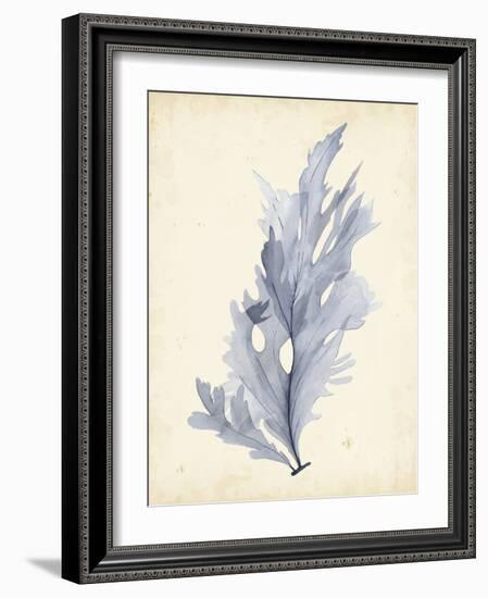 Watercolor Sea Grass VI-Grace Popp-Framed Art Print