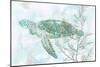 Watercolor Sea Turtle II-Studio W-Mounted Art Print