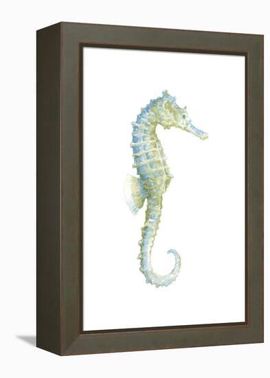 Watercolor Seahorse I-Megan Meagher-Framed Stretched Canvas