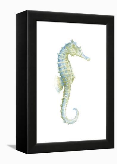 Watercolor Seahorse I-Megan Meagher-Framed Stretched Canvas