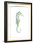 Watercolor Seahorse I-Megan Meagher-Framed Art Print