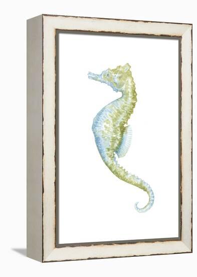 Watercolor Seahorse II-Megan Meagher-Framed Stretched Canvas