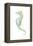 Watercolor Seahorse II-Megan Meagher-Framed Stretched Canvas