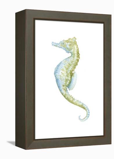 Watercolor Seahorse II-Megan Meagher-Framed Stretched Canvas