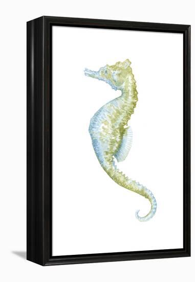 Watercolor Seahorse II-Megan Meagher-Framed Stretched Canvas