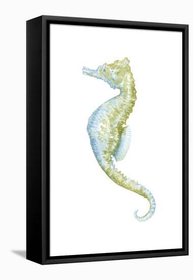 Watercolor Seahorse II-Megan Meagher-Framed Stretched Canvas