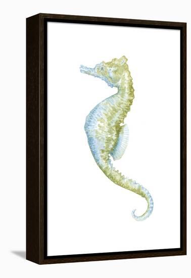 Watercolor Seahorse II-Megan Meagher-Framed Stretched Canvas