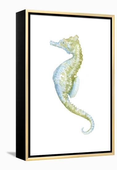 Watercolor Seahorse II-Megan Meagher-Framed Stretched Canvas