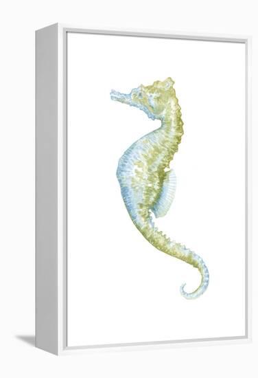 Watercolor Seahorse II-Megan Meagher-Framed Stretched Canvas