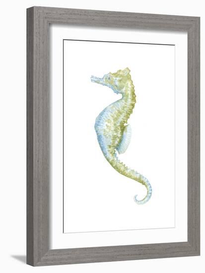 Watercolor Seahorse II-Megan Meagher-Framed Premium Giclee Print