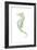 Watercolor Seahorse II-Megan Meagher-Framed Premium Giclee Print