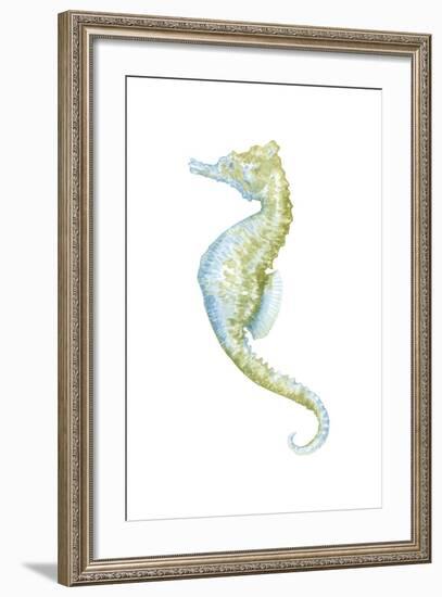 Watercolor Seahorse II-Megan Meagher-Framed Art Print