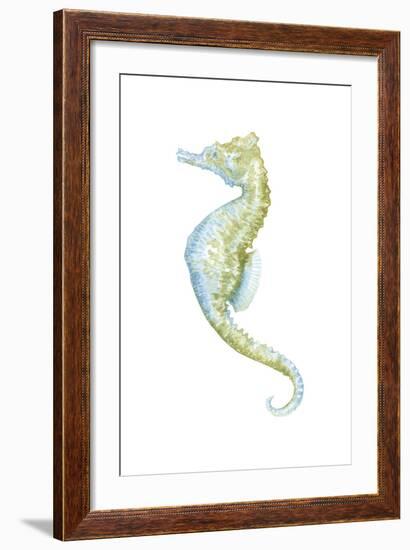 Watercolor Seahorse II-Megan Meagher-Framed Art Print