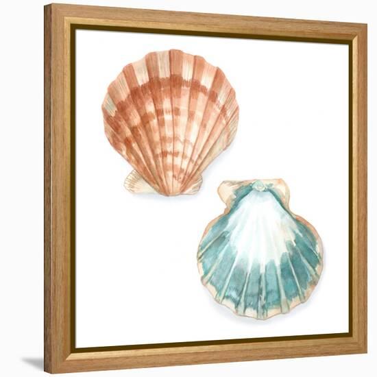 Watercolor Shells I-Megan Meagher-Framed Stretched Canvas