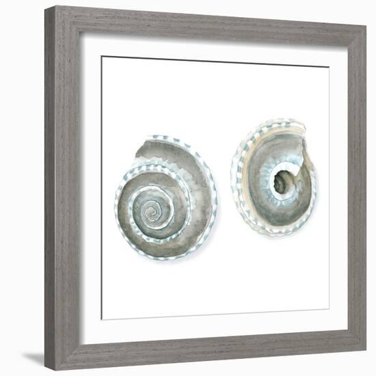 Watercolor Shells IV-Megan Meagher-Framed Art Print