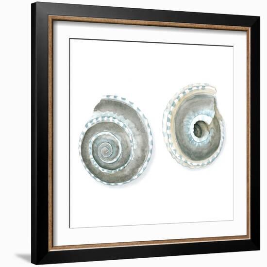 Watercolor Shells IV-Megan Meagher-Framed Art Print