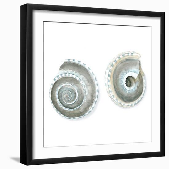 Watercolor Shells IV-Megan Meagher-Framed Art Print