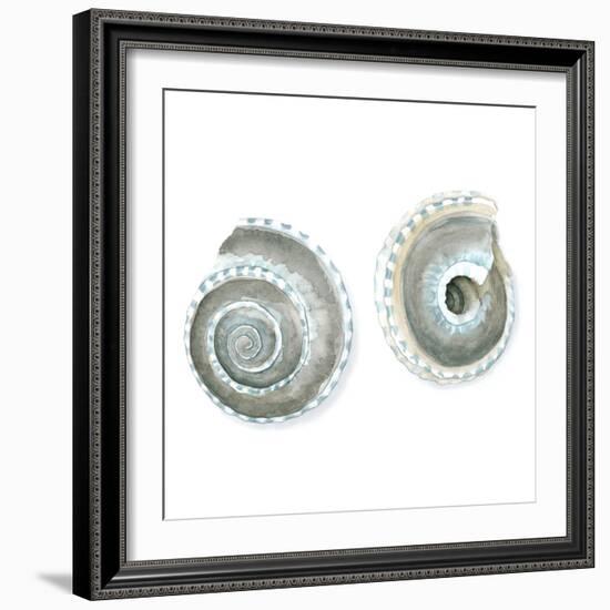 Watercolor Shells IV-Megan Meagher-Framed Art Print