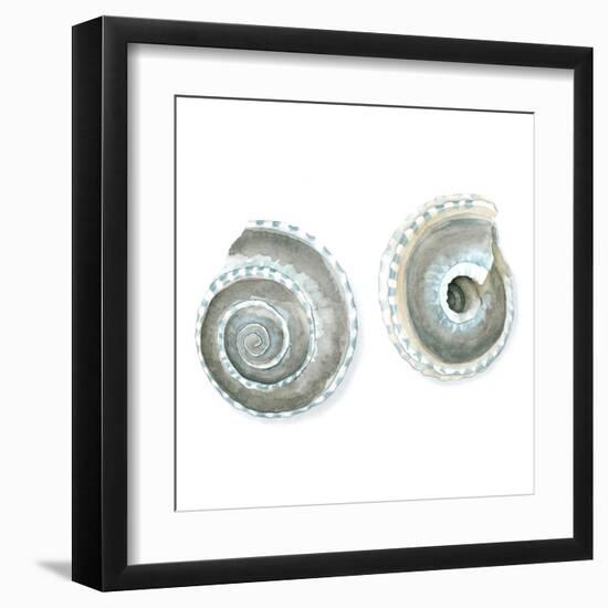 Watercolor Shells IV-Megan Meagher-Framed Art Print