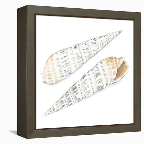 Watercolor Shells IX-Megan Meagher-Framed Stretched Canvas