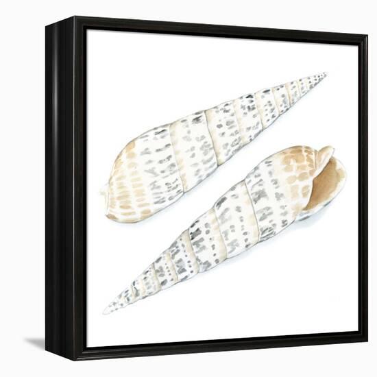 Watercolor Shells IX-Megan Meagher-Framed Stretched Canvas