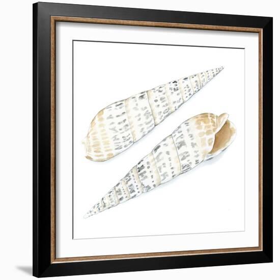 Watercolor Shells IX-Megan Meagher-Framed Art Print