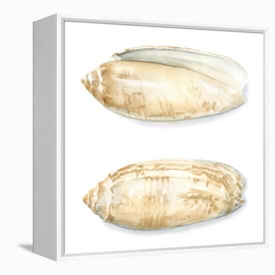 Watercolor Shells V-Megan Meagher-Framed Stretched Canvas