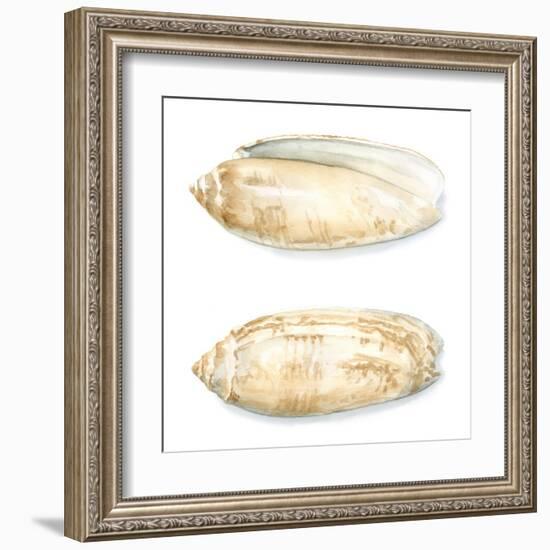 Watercolor Shells V-Megan Meagher-Framed Art Print