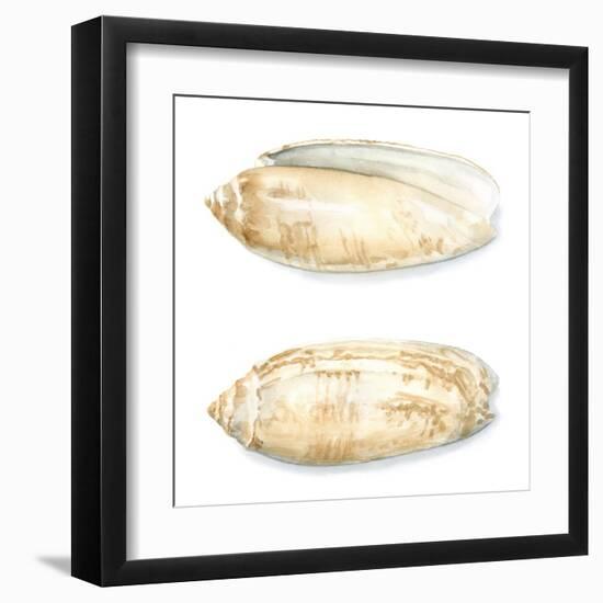 Watercolor Shells V-Megan Meagher-Framed Art Print