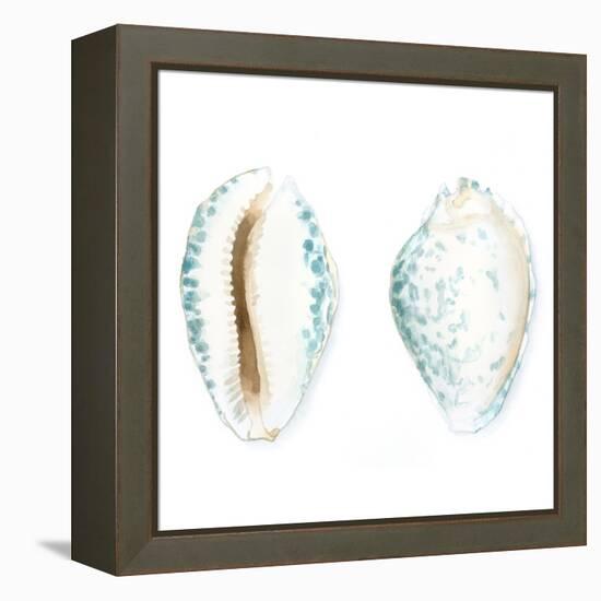 Watercolor Shells VI-Megan Meagher-Framed Stretched Canvas